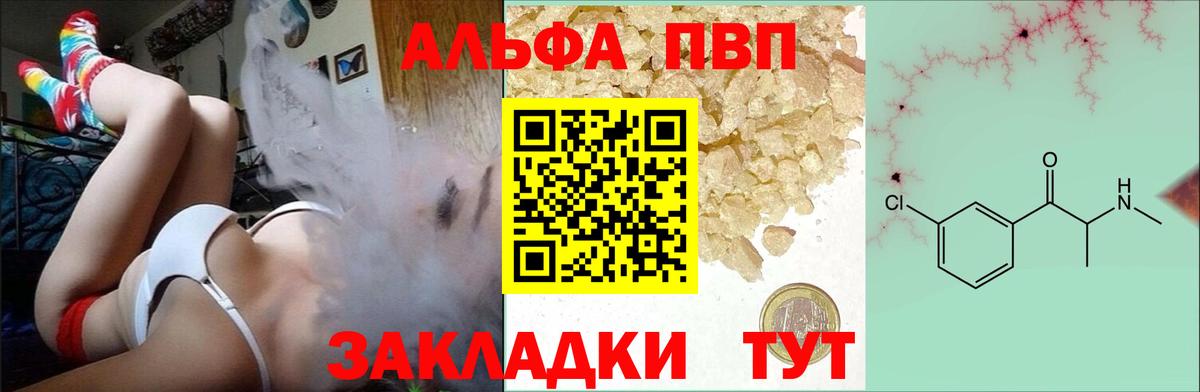 A-PVP СК КРИС Урус-Мартан