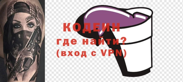 шишки Надым