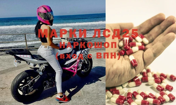 шишки Надым