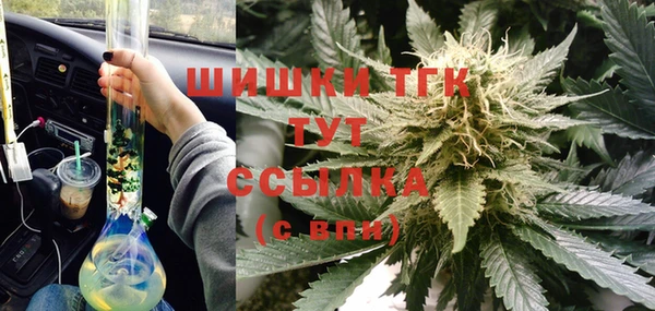 трава Наволоки