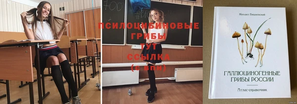 трава Наволоки