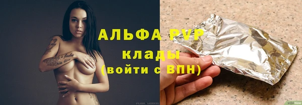 шишки Надым