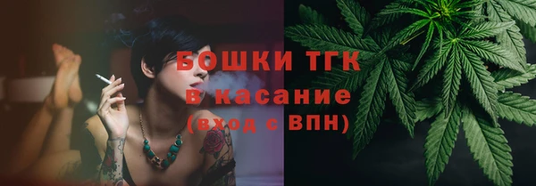 трава Наволоки