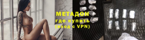 шишки Надым