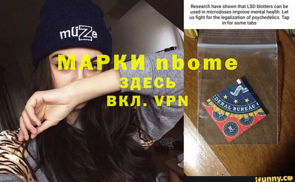 шишки Надым