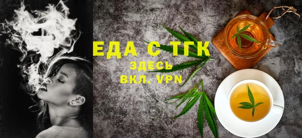 шишки Надым