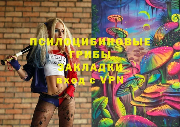 шишки Надым
