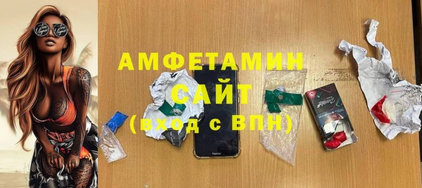 шишки Надым