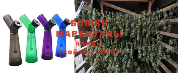 шишки Надым