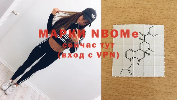 шишки Надым