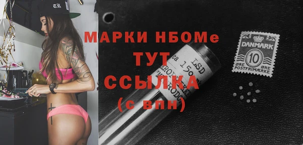 шишки Надым