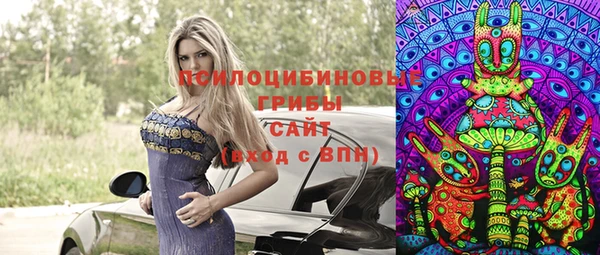 шишки Надым