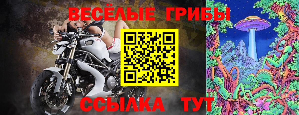 Галлюциногенные грибы MAGIC MUSHROOMS Урус-Мартан