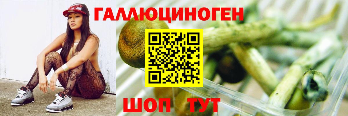 Урус-Мартан  Галлюциногенные грибы мицелий  Вход с VPN 